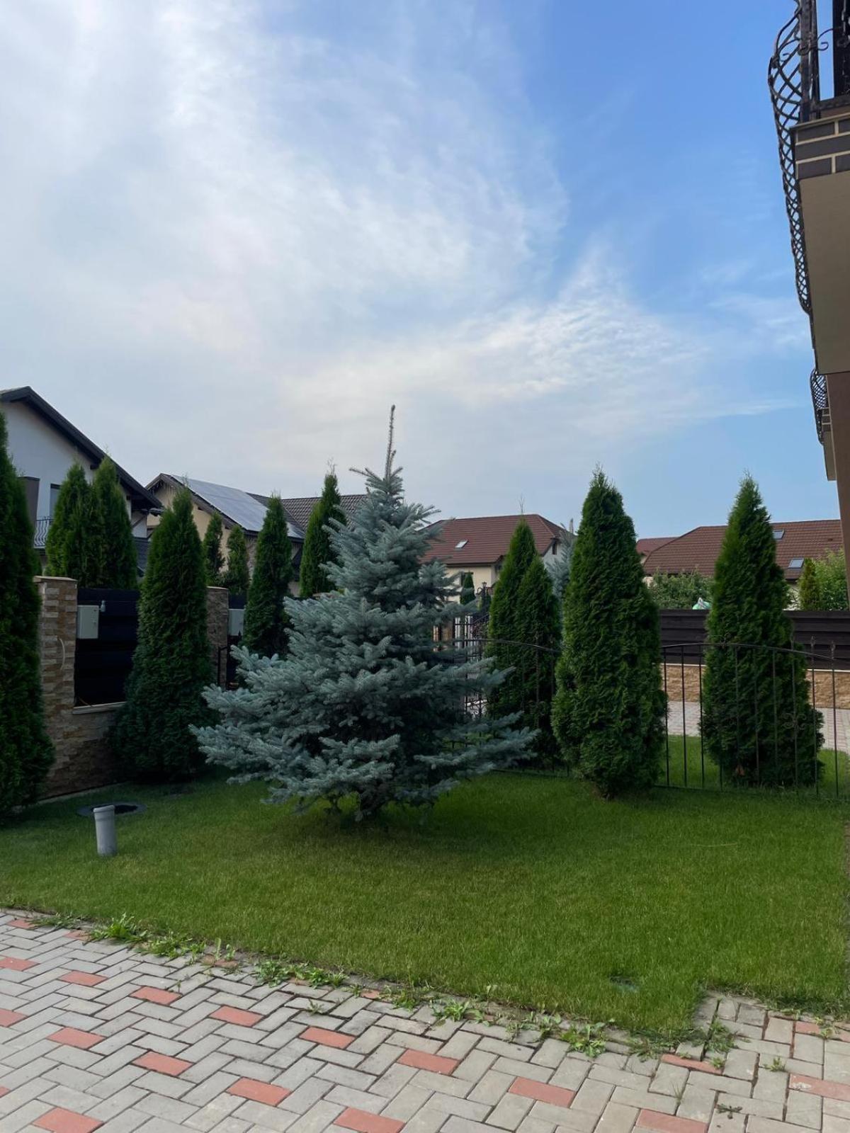 Vila Pati Ploieşti Exterior foto